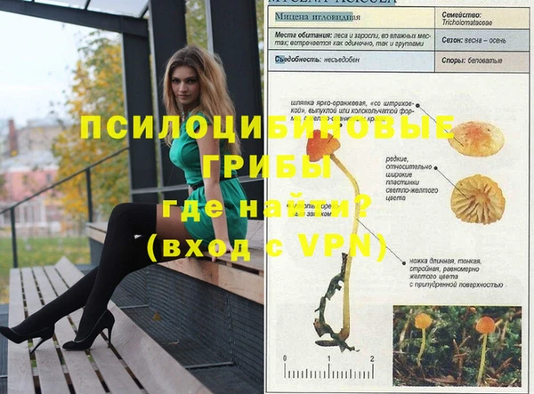 соль ск Верея